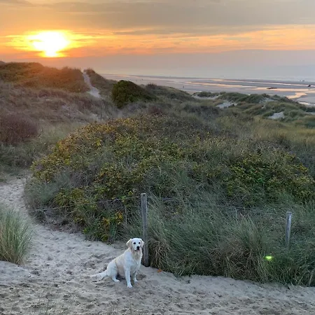 Lägenhet - Silverbeach *