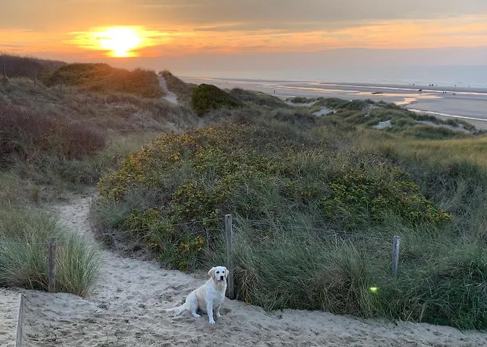 Apartment - Silverbeach *